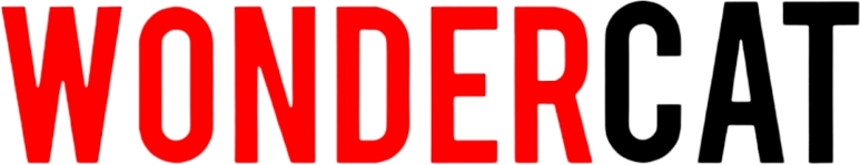 Slide thumbnail